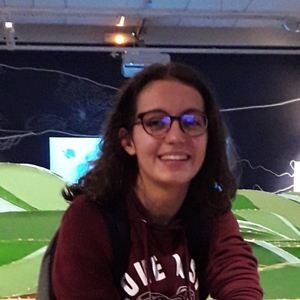 Mérine - Prof de maths - Champs-sur-Marne