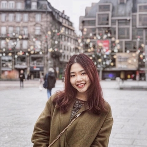 An - Prof de vietnamien - Villeurbanne