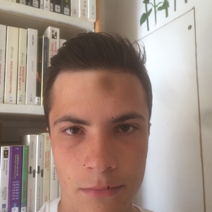 Regis - Prof de maths - Asnières-sur-Seine
