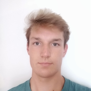 Loys - Prof d'aide aux devoirs - Versailles
