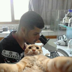 D'med - Prof de biologie - Conca