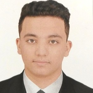 Massinissa - Prof de maths - Nantes