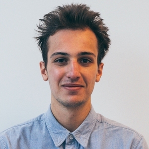 Raphael - Prof de maths - Paris
