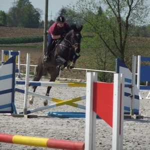 Celine - Prof d'équitation - Manage