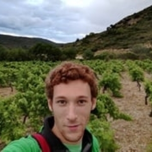 Jeremie - Prof de maths - Mauguio