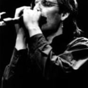 Bruno - Prof d'harmonica - Voutré