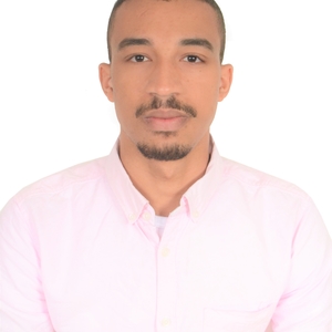 Ali - Prof de programmation - Bordeaux