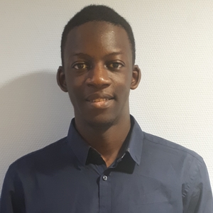 Abiboulaye - Prof de maths - Le Plessis-Trévise