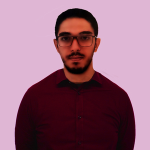 El Mehdi - Prof de programmation - Paris