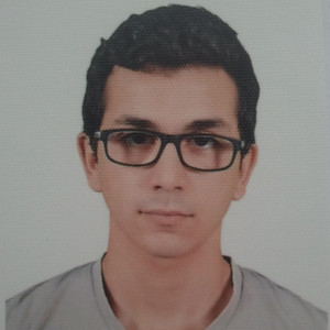 Djallel Eddine - Prof de maths - Paris