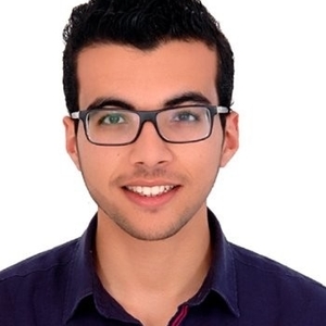 Ayoub - Prof de maths - Montigny-le-Bretonneux