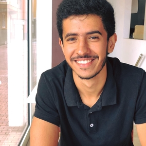 Hicham - Prof de maths - Saint-Gaudens