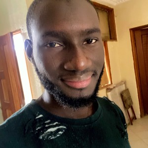 Ndiaye - Prof d'autocad - Strasbourg