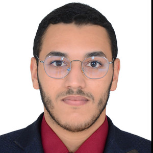 Zouheir - Prof de maths - Champigny-sur-Marne