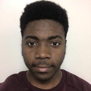 Wilfried - Prof de maths - Brest