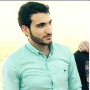 Hussein - Prof de maths - Blagnac