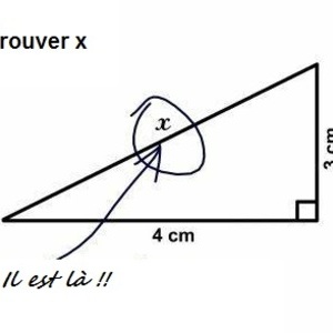 Armeline - Prof de maths - Tarbes