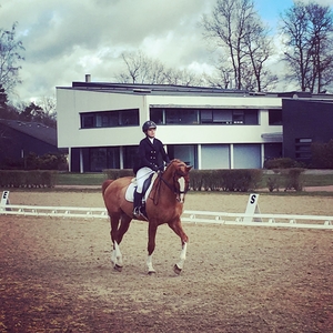 Marion - Prof d'équitation - Dambach-la-Ville