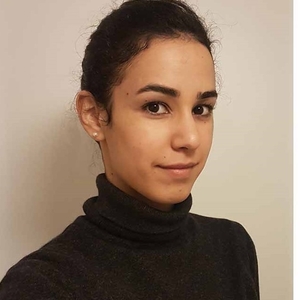 Malak - Prof d'anglais - Paris