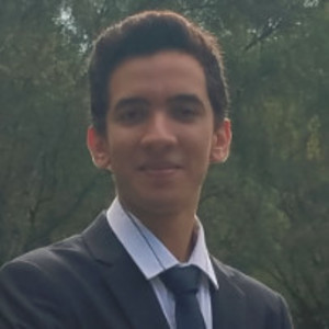 Amine - Prof de maths - Puteaux