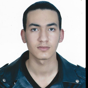 MEHDI - Prof de maths - Lyon