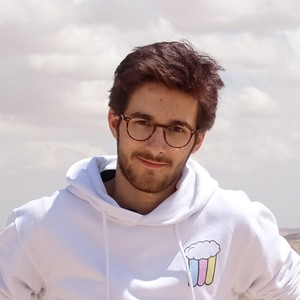 Robin - Prof d'initiation informatique - Le Vésinet