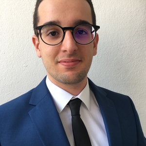 Walid - Prof d'arabe - Guyancourt