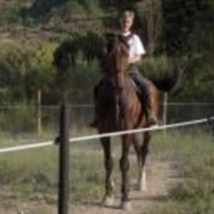 Jean-marie - Prof d'équitation - Saint-Auban-sur-l'Ouvèze