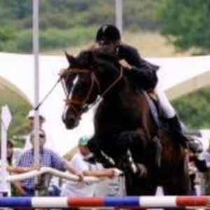 Catherine - Prof d'équitation - Châteaurenard