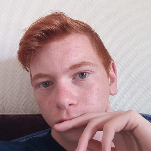 Nicolas - Prof de maths - Villeparisis