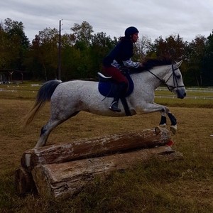 Ness - Prof d'équitation - Saint-Clar-de-Rivière