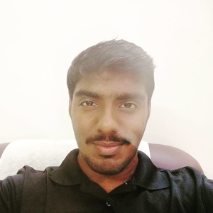 Thiruvalliangudi Kannan - Prof d'anglais - Nantes