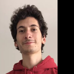 David - Prof de préparation bac scientifique - La Riche