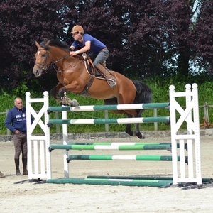 Julien - Prof d'équitation - Donville-les-Bains