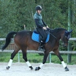 Merjagnan - Prof d'équitation - Orsay