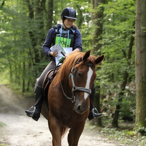 Canelle - Prof d'équitation - Saint-Georges-de-Poisieux