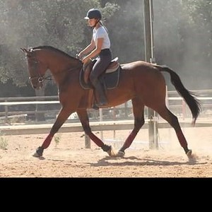 Loriane - Prof d'équitation - Montpellier