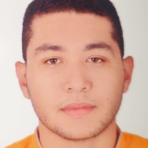 Mohamed - Prof de maths - Metz