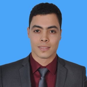 Hassan - Prof d'anglais - Castelnau-le-Lez