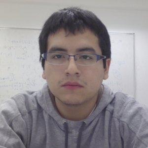 Mario - Prof de maths - Bourg-la-Reine