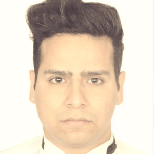 Ravinder - Prof d'anglais - Champigny-sur-Marne