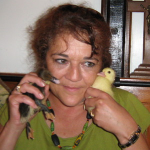 Pascale - Prof d'anglais - Limoges