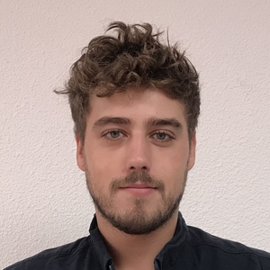 Robert - Prof d'expression écrite - anglais - Paris
