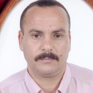 MOHAMED - Prof d'expression orale - anglais - Allonne