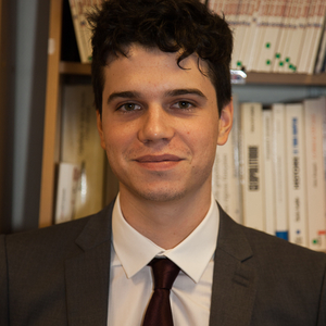 Dimitri - Prof de français - Palau-del-Vidre