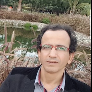 Wael - Prof de fle - français langue étrangère - London