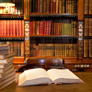 Margaux - Prof d'aide aux devoirs - Strasbourg