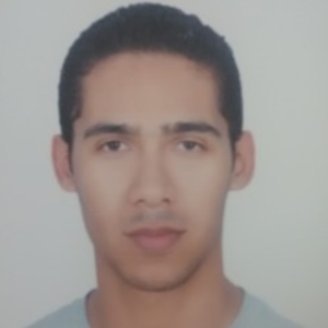 Wael - Prof de maths - Villebon-sur-Yvette