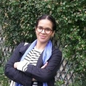 KARI - Prof d'anglais - Chambourcy