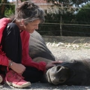 Magali - Prof de yoga - Aussonne